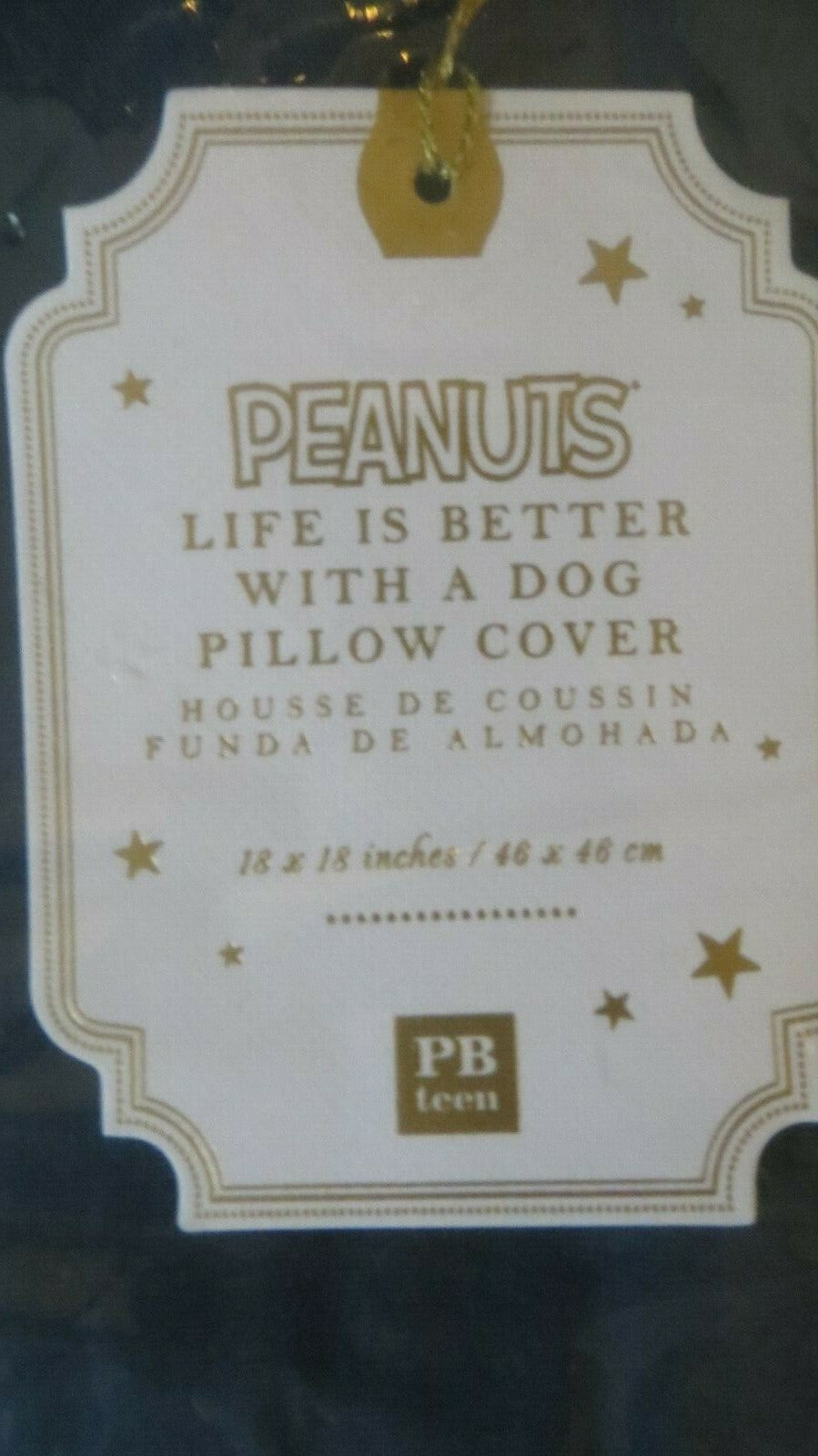 Pottery barn Snoopy school pillow Sham Holiday Gift party Disney kid dog heart a