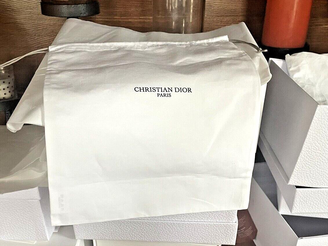 Christian DIOR Pouch bag travel holiday party gift Disney Birthday teen ++ ?? .