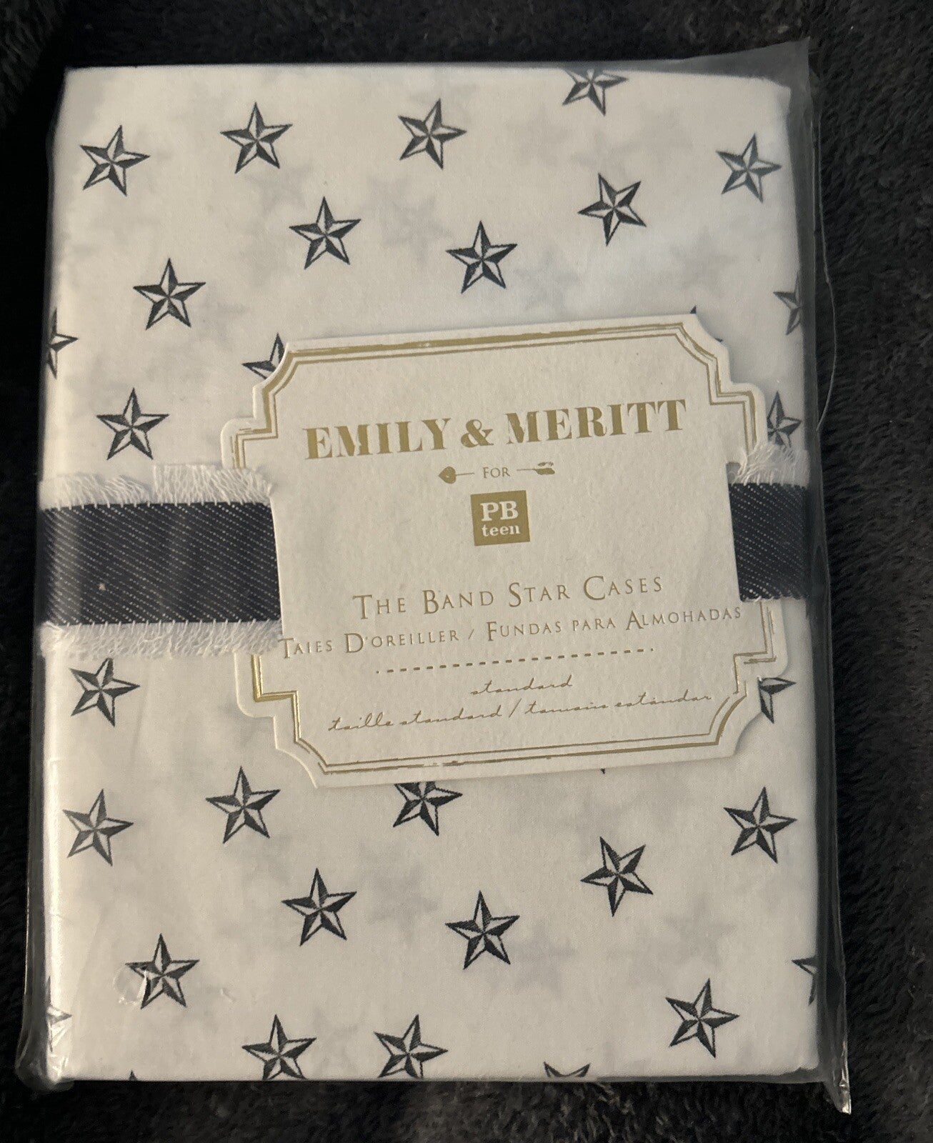 pottery barn Disney holiday Emily Meritt school space SET 2 kid Pillowcase