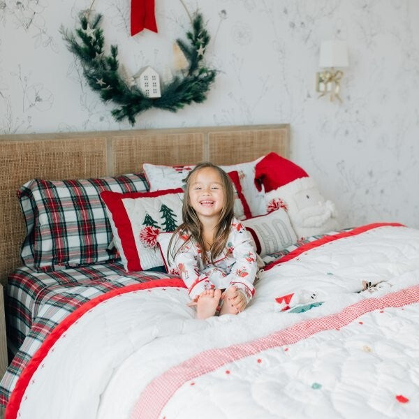 Pottery Barn holiday Disney PLAID Pillow SHAM cover Christmas party Stewart m