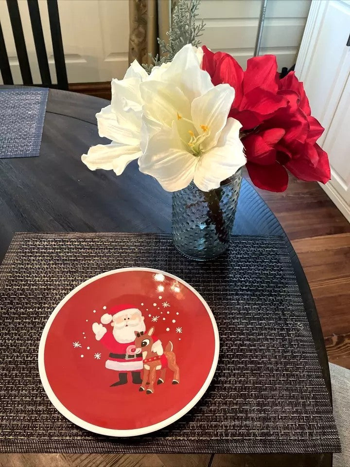 Pottery Barn holiday Rudolph Santa party school Disney dinner Plate gift SET 4