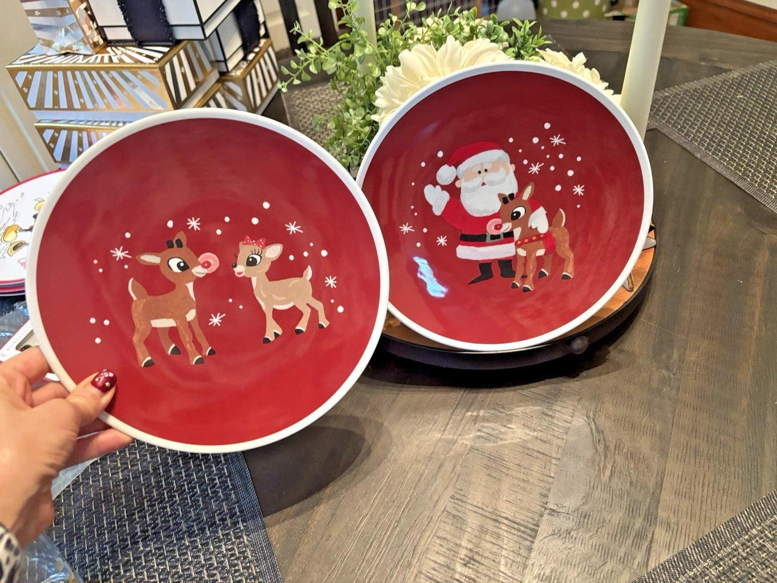 Pottery Barn holiday Rudolph Santa party school Disney dinner Plate gift SET 4
