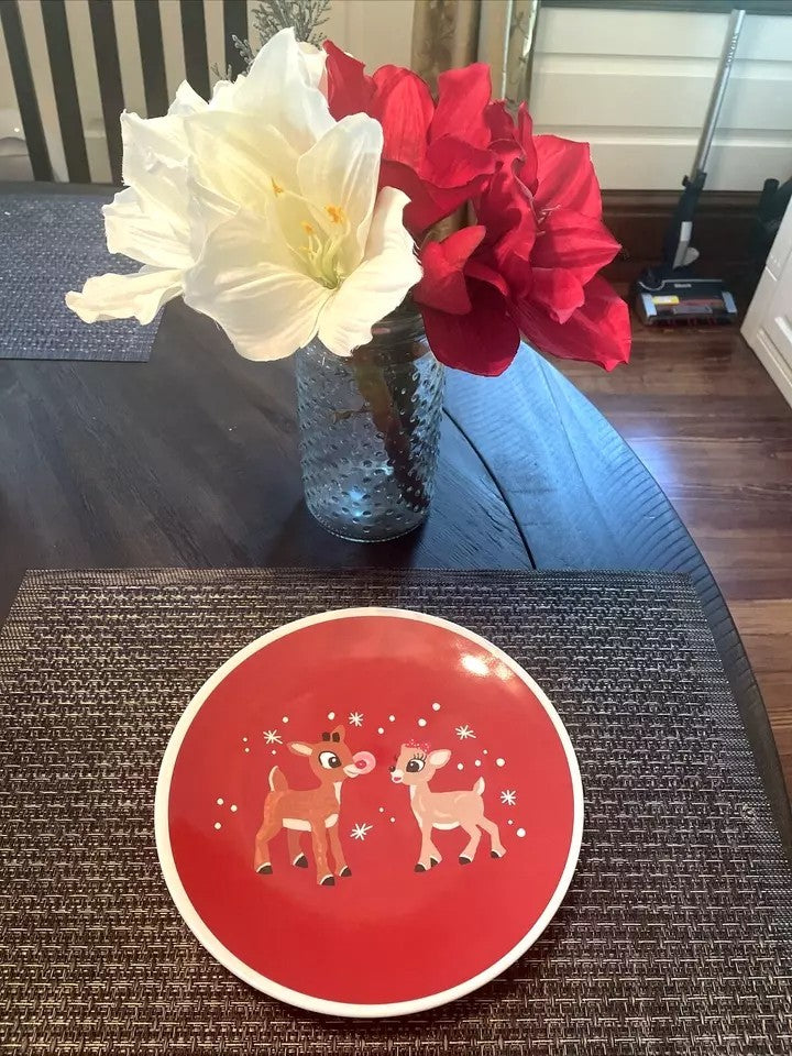 Pottery Barn holiday Rudolph Santa party school Disney dinner Plate gift SET 4