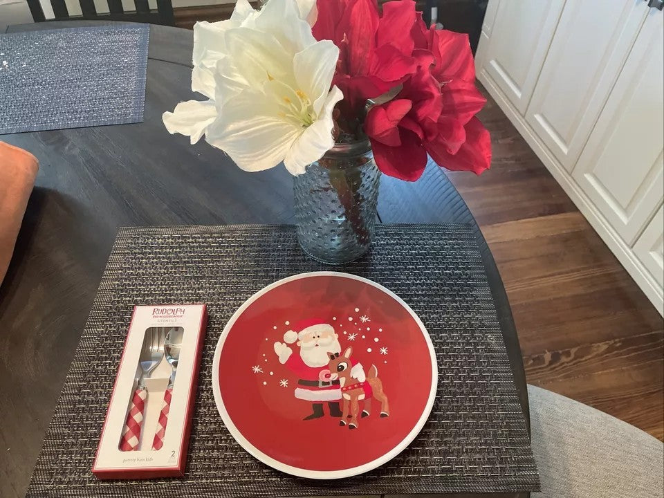 Pottery Barn holiday Rudolph Santa party school Disney dinner Plate gift SET 4