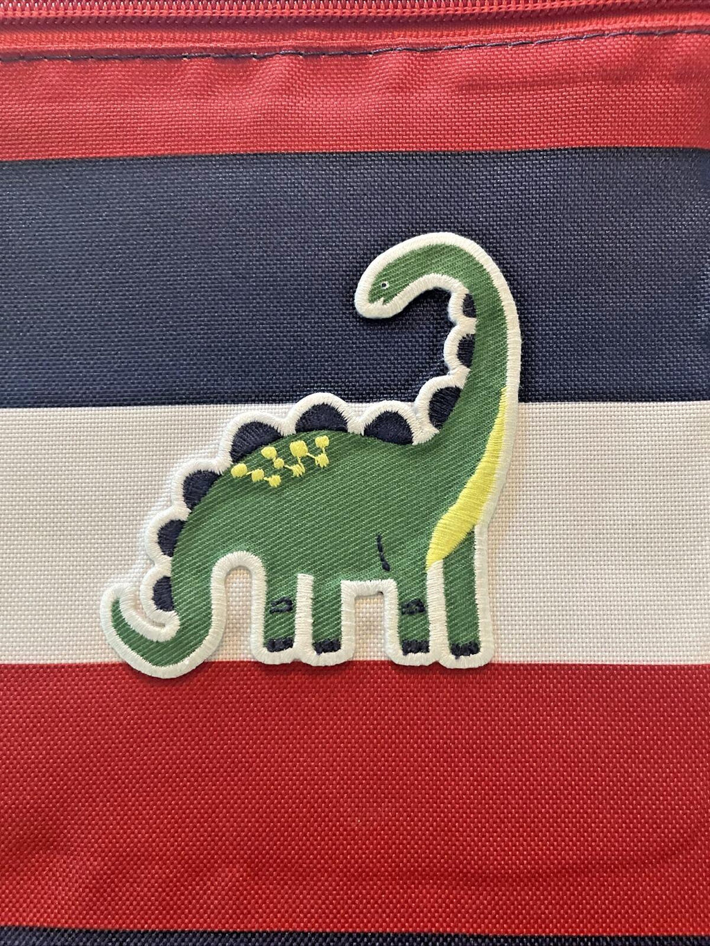 Pottery barn Disney LUNCH BOX bag School Dinosaur stripe Jurassic pre k n