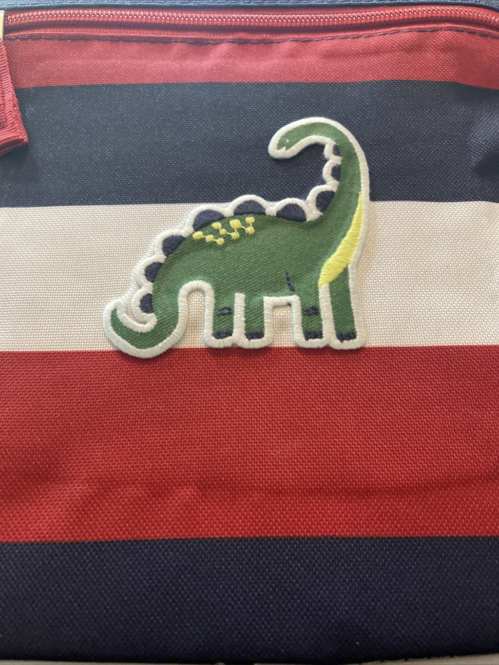 Pottery barn Disney LUNCH BOX bag School Dinosaur stripe Jurassic pre k n