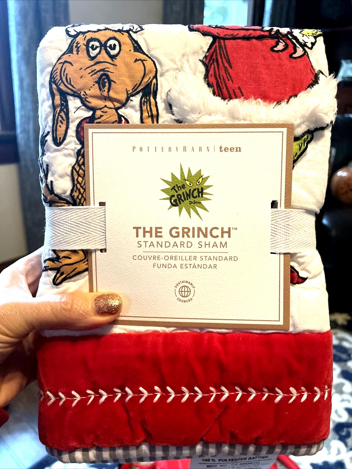 Pottery Barn Grinch Christmas pillow Sham Dr Seuss Disney Holiday party kid nn