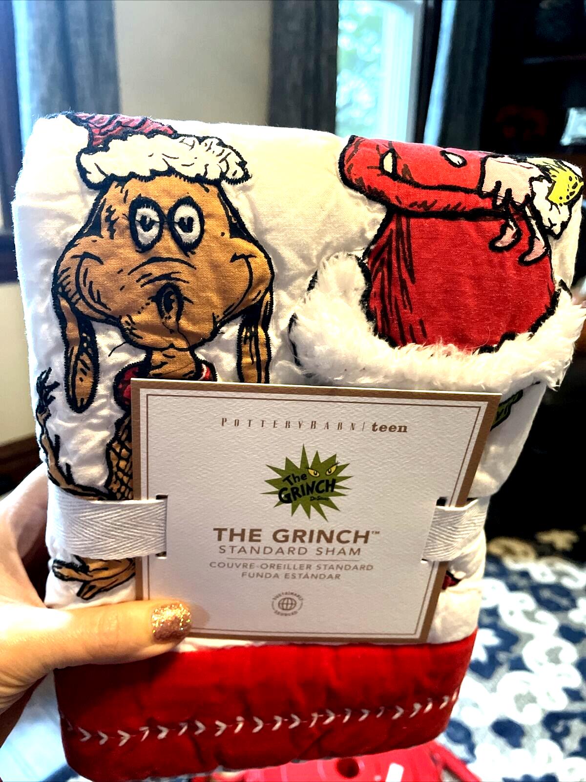 Pottery Barn Grinch Christmas pillow Sham Dr Seuss Disney Holiday party kid nn