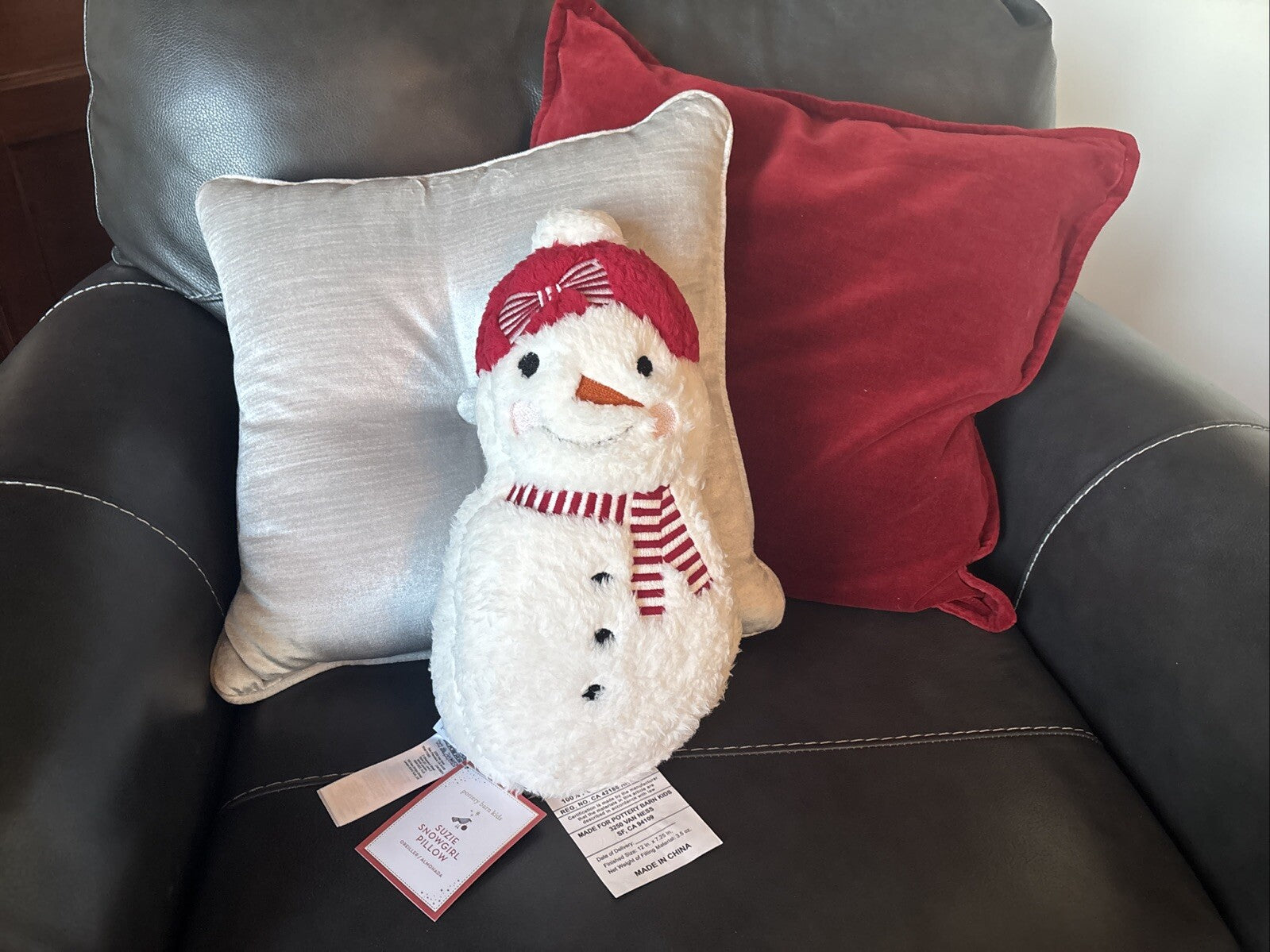 Pottery Barn Snowman Christmas pillow Seuss Holiday Gift party Disney girl Kid -