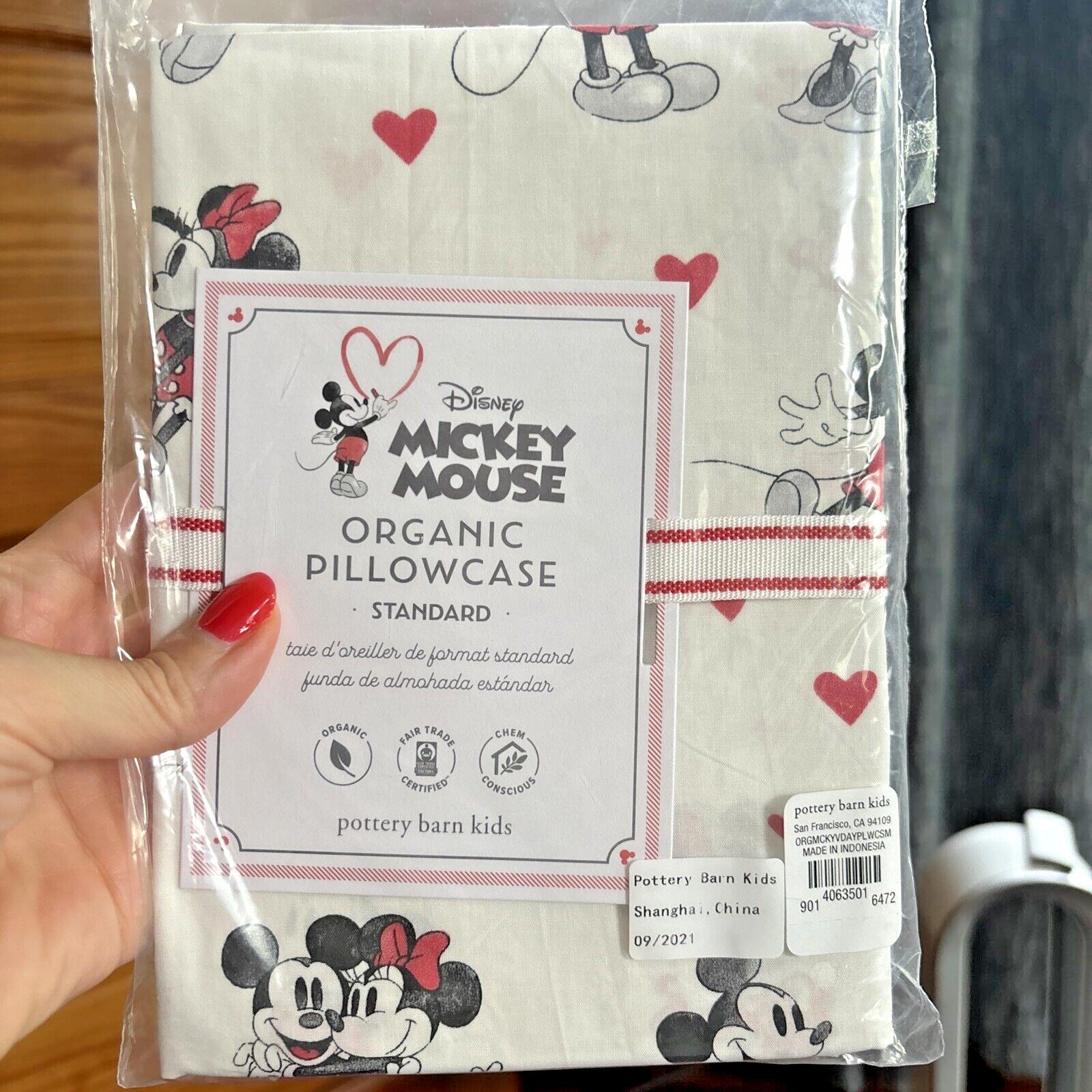 Disney Pottery Barn Mickey Minnie Mouse Peanuts Snoopy holiday Pillowcase kids