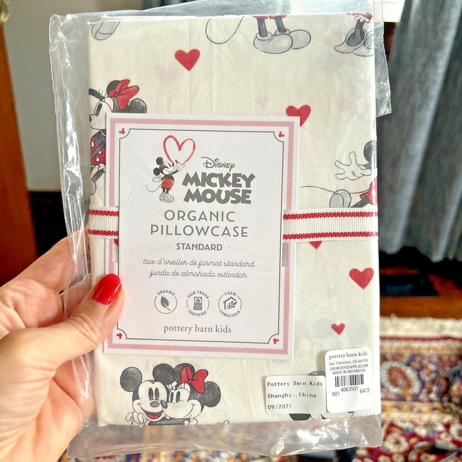 Disney Pottery Barn Mickey Minnie Mouse Peanuts Snoopy holiday Pillowcase kids