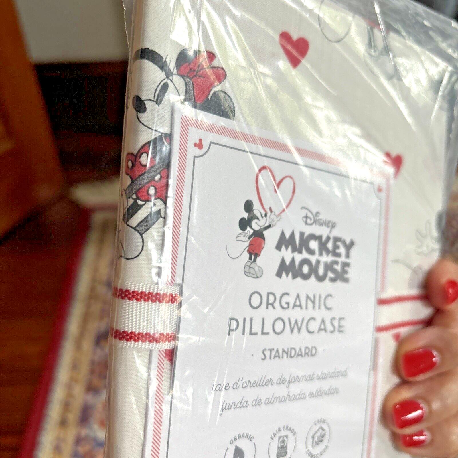 Disney Pottery Barn Mickey Minnie Mouse Peanuts Snoopy holiday Pillowcase kids