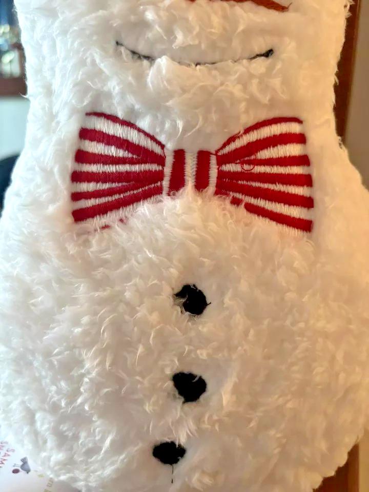 Pottery Barn Christmas holiday Snowman Pillow birthday gift school kid frosty
