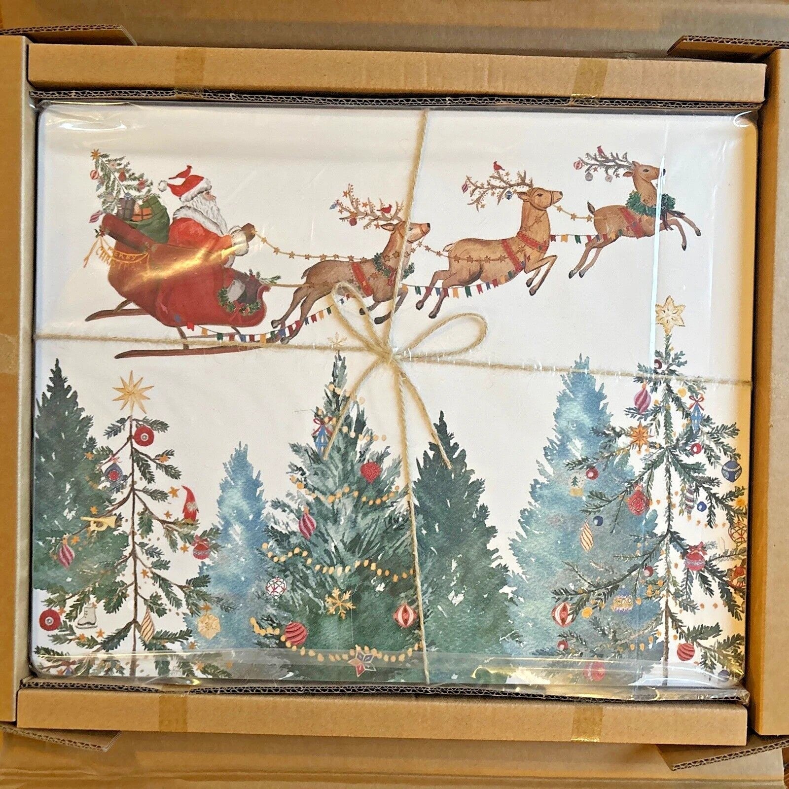 Pottery Barn holiday PLAID placemat Stewart Birthday Country party kid SET 4 NEW