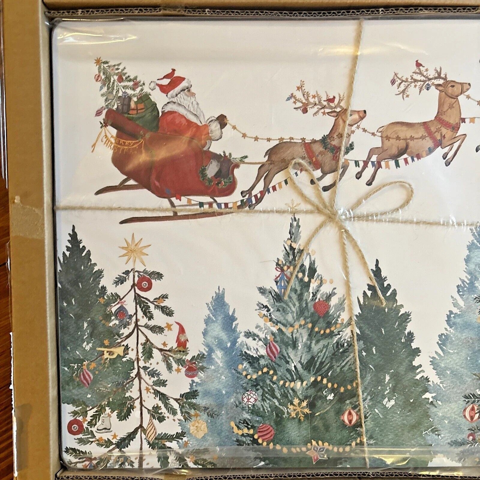 Pottery Barn holiday PLAID placemat Stewart Birthday Country party kid SET 4 NEW