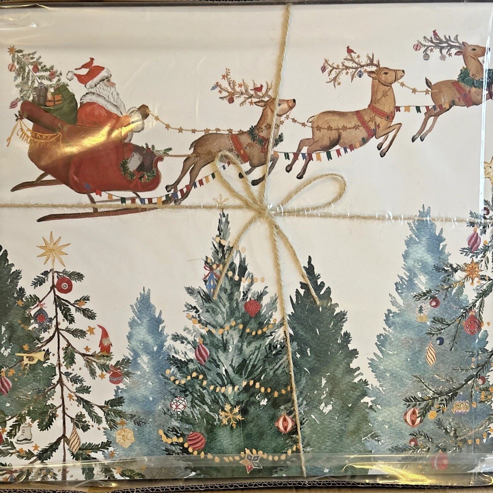 Pottery Barn holiday PLAID placemat Stewart Birthday Country party kid SET 4 NEW