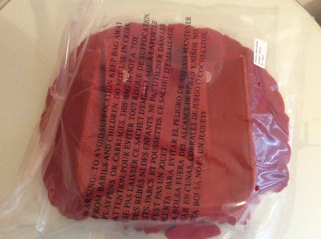 Pottery Barn kid Snoopy Woodstock Thanksgiving Peanuts Turkey holiday gift ,s