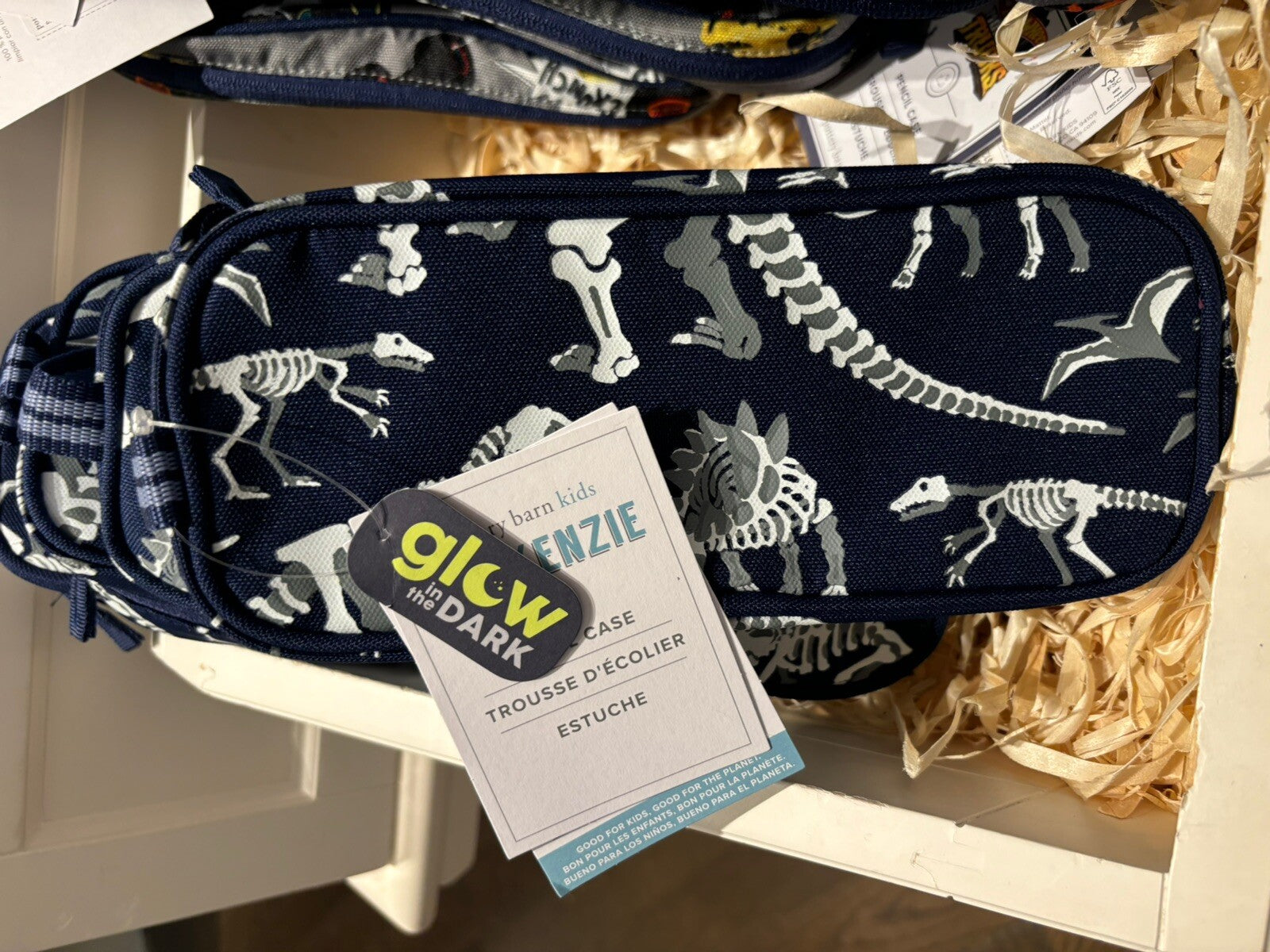 School Pottery barn Disney Pencil case bag boy Dinosaur travel gift pre k m