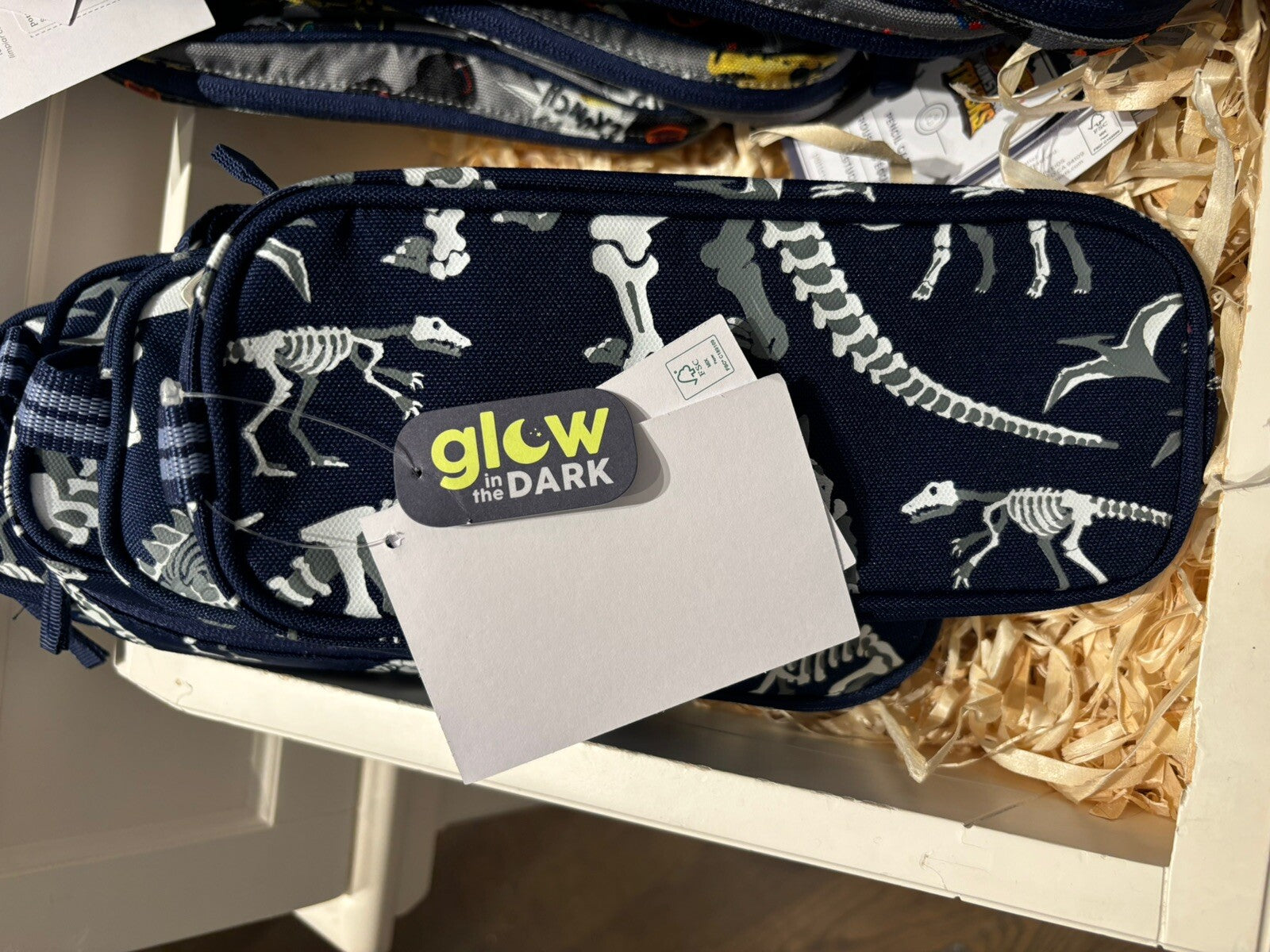 School Pottery barn Disney Pencil case bag boy Dinosaur travel gift pre k m