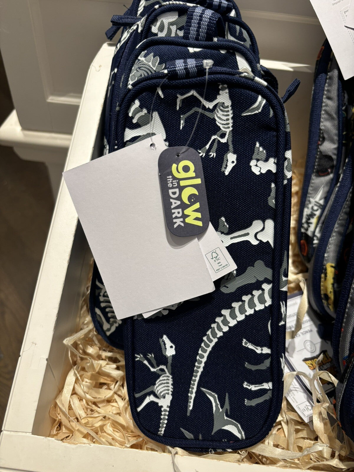 School Pottery barn Disney Pencil case bag boy Dinosaur travel gift pre k m