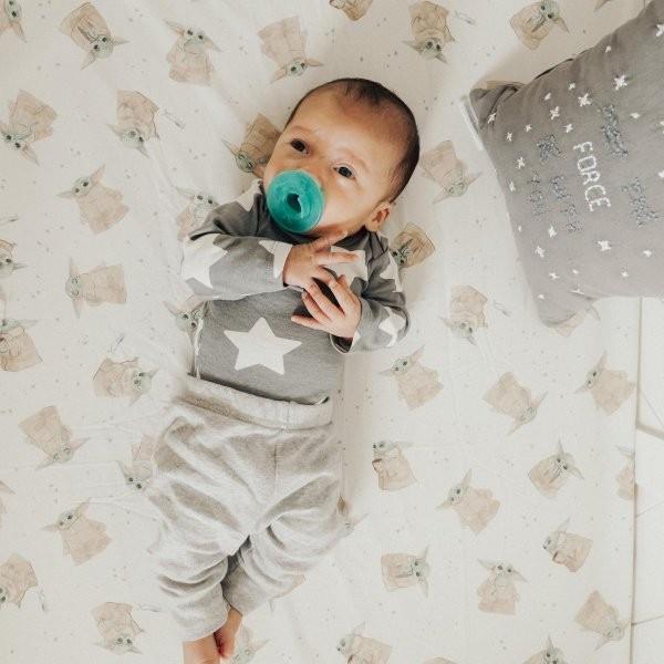 Pottery Barn Holiday Floral Plate Peter rabbit Easter Bunny Flopsy kid Party new