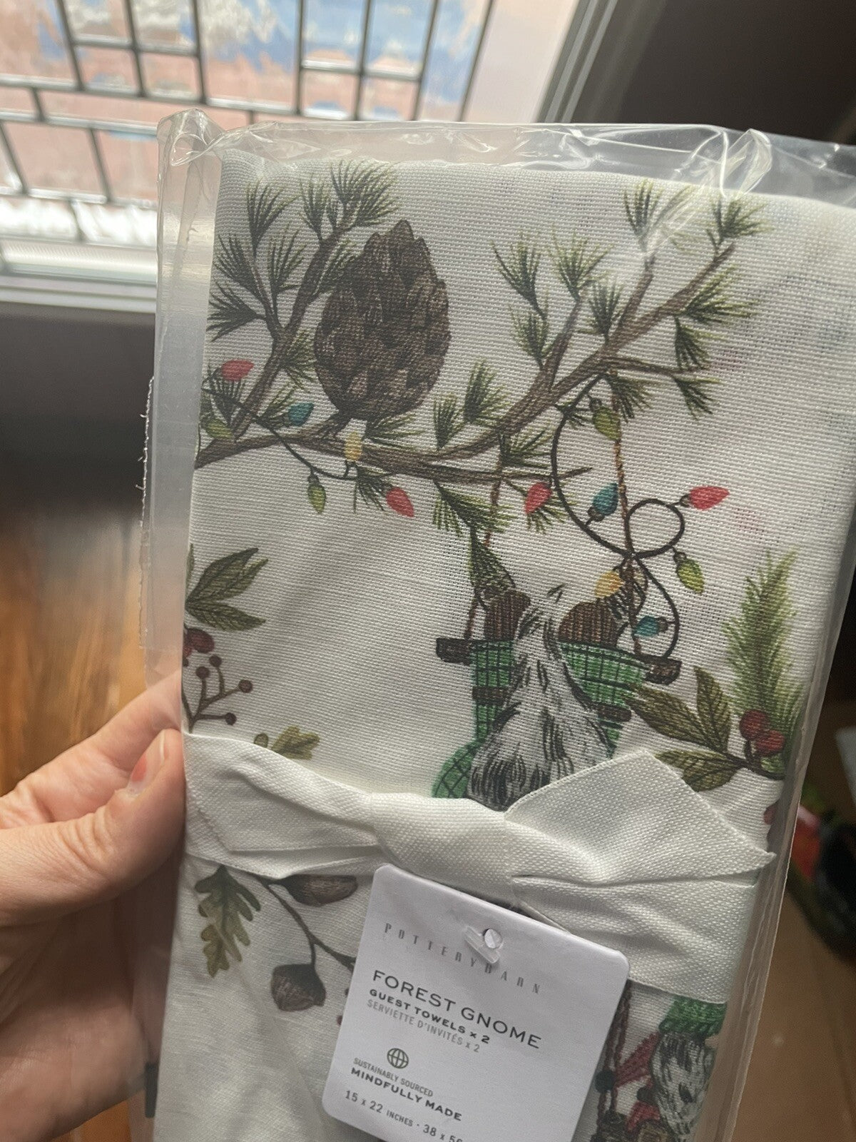 pottery barn Kitchen towel Holiday Winter Christmas Gnome Elf gift party SET 2 =