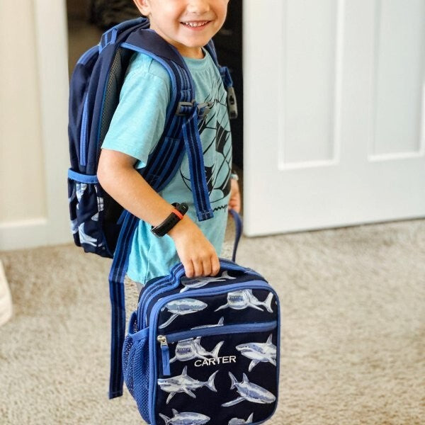 Disney School Pottery barn Shark Lunch box travel holiday ocean fish surf gift n