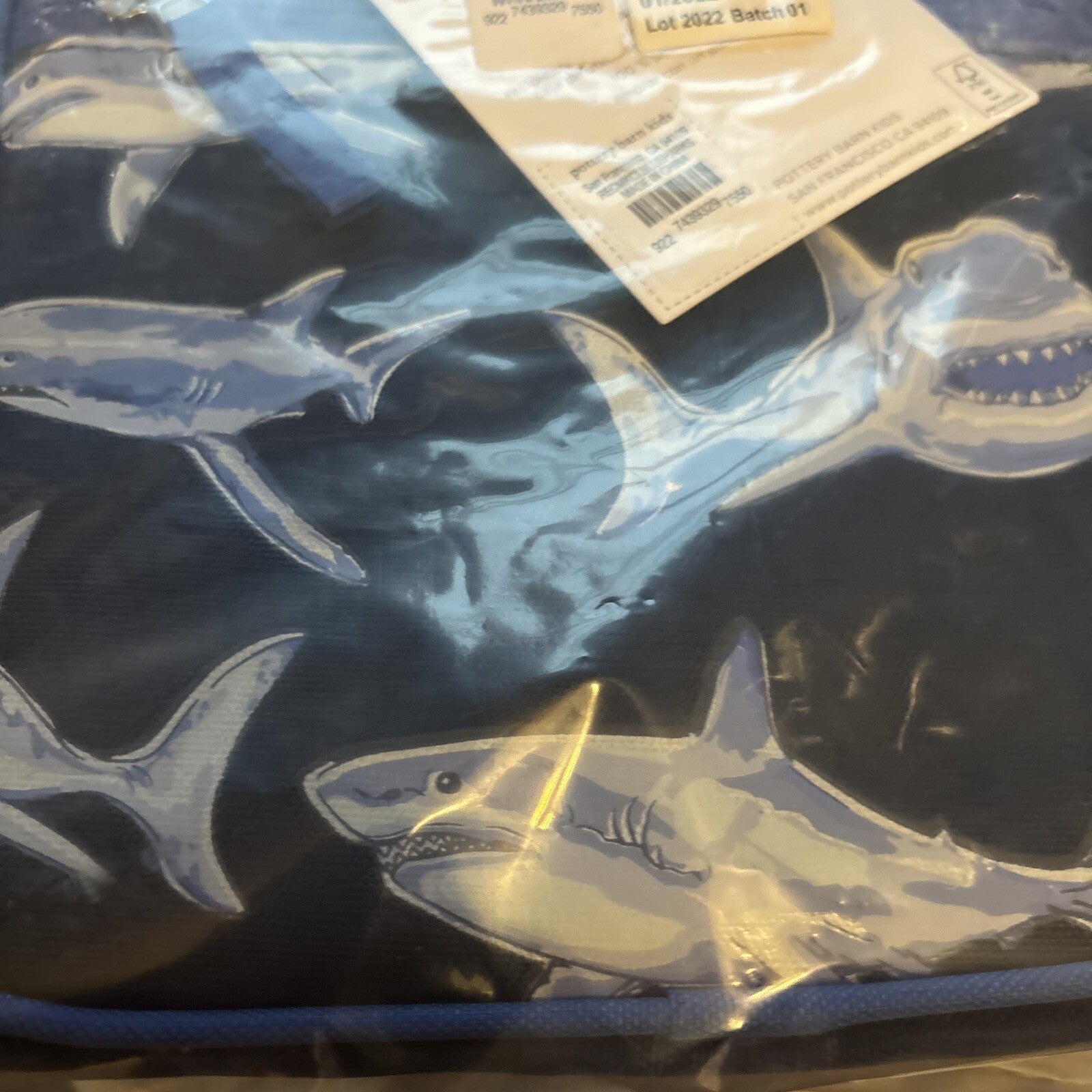 Disney School Pottery barn Shark Lunch box travel holiday ocean fish surf gift n