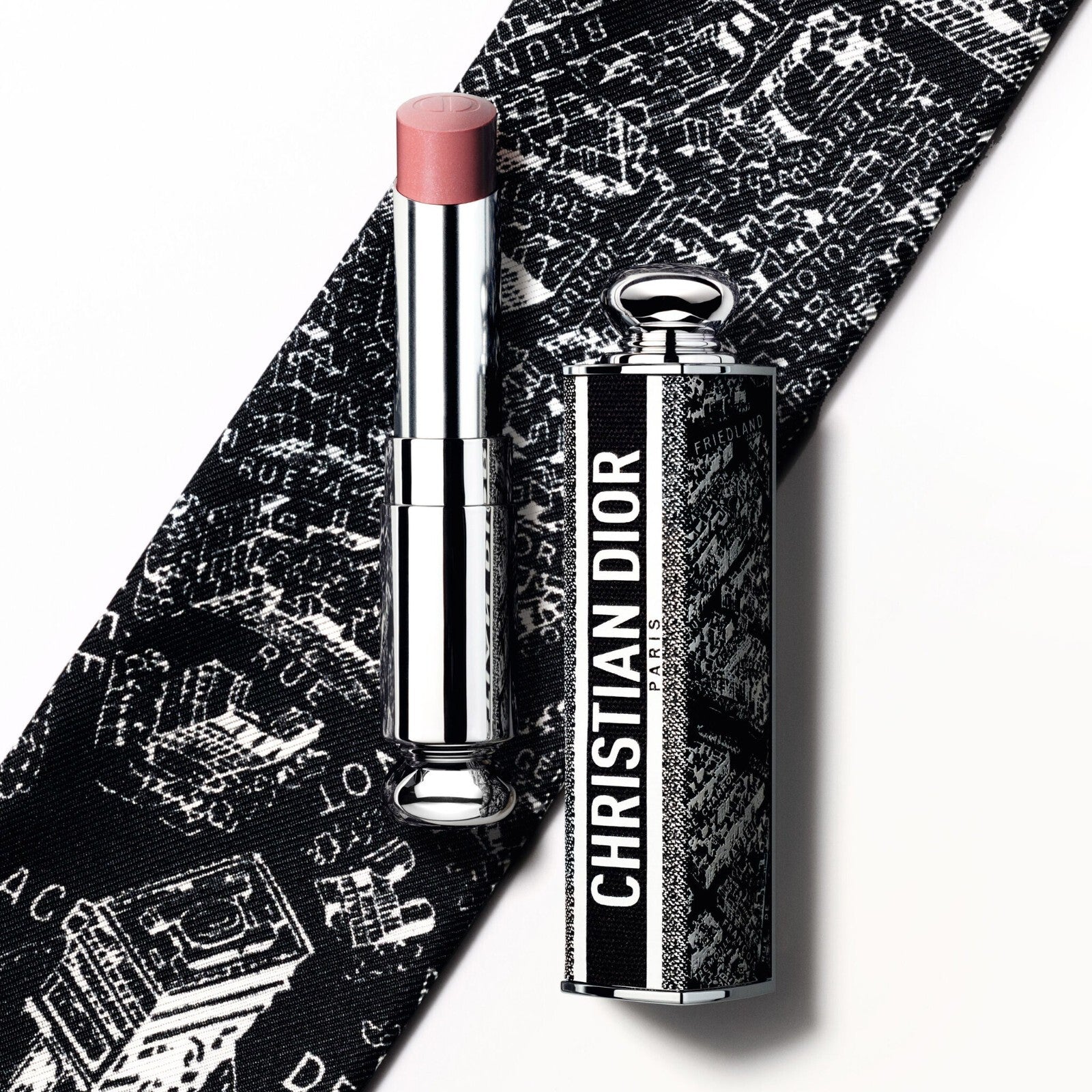 DIOR LIPSTICK CASE LIMITED EDITION Paris +Perfume+ VIP holiday Birthday Bag ?? p