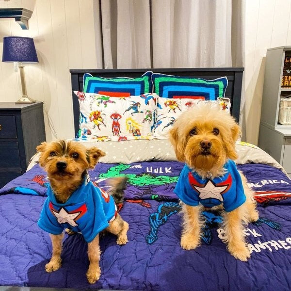 Pottery Barn PILLOW SHAM holiday gift party space boy Blue cotton birthday kid b